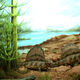Image for article titled Why did nearly all life on Earth die 250 million years ago?